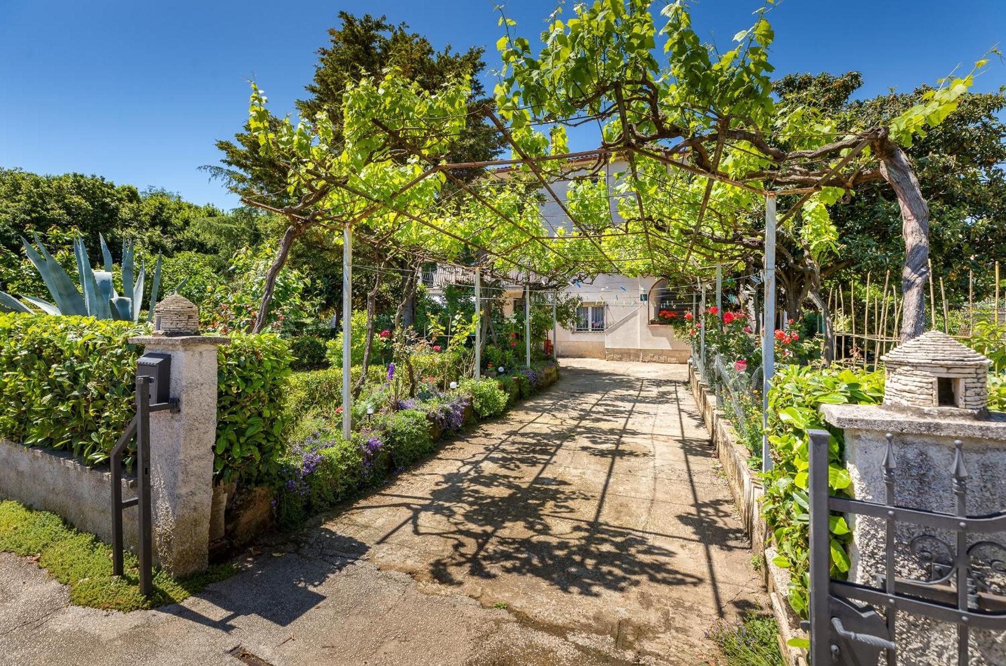 Apartment Milena Pula Exterior photo